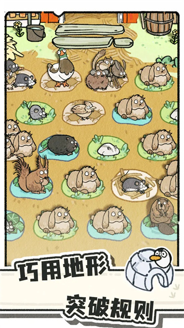 猫神牧场[图4]
