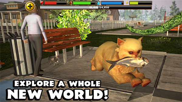 流浪猫模拟器极速版[图4]