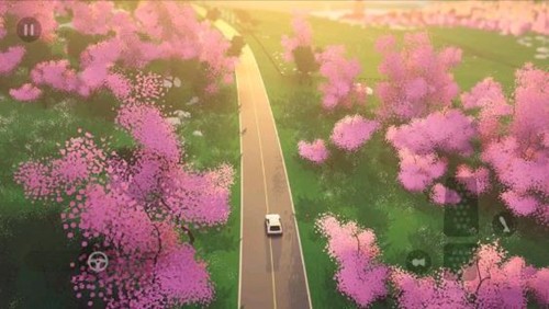 拉力赛艺术[图2]