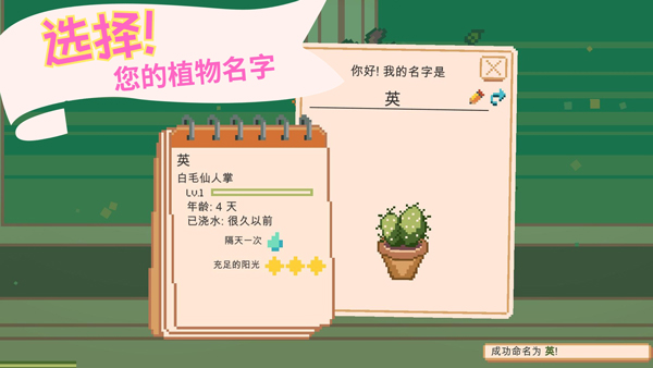 窗边花园[图5]