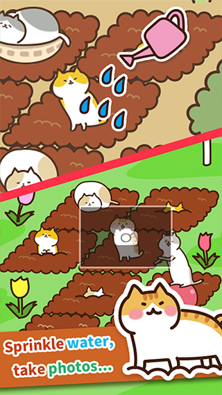 猫咪田园[图2]