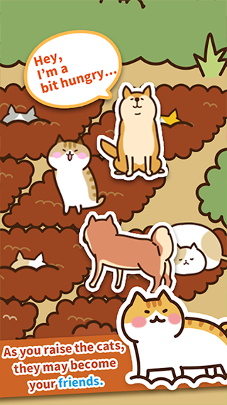 猫咪田园[图3]