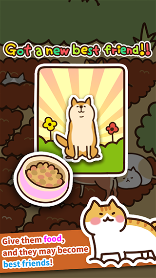 猫咪田园[图4]