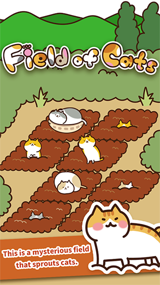 猫咪田园[图1]