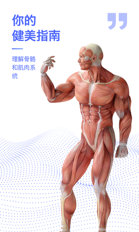 人体3d解剖图谱3d模型[图1]