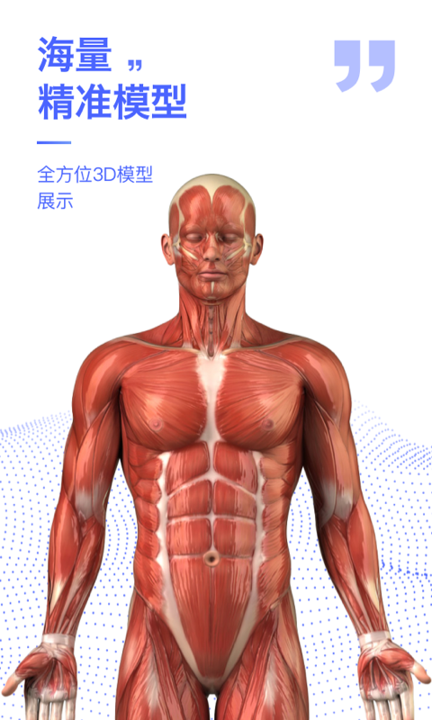 人体3d解剖图谱3d模型[图3]