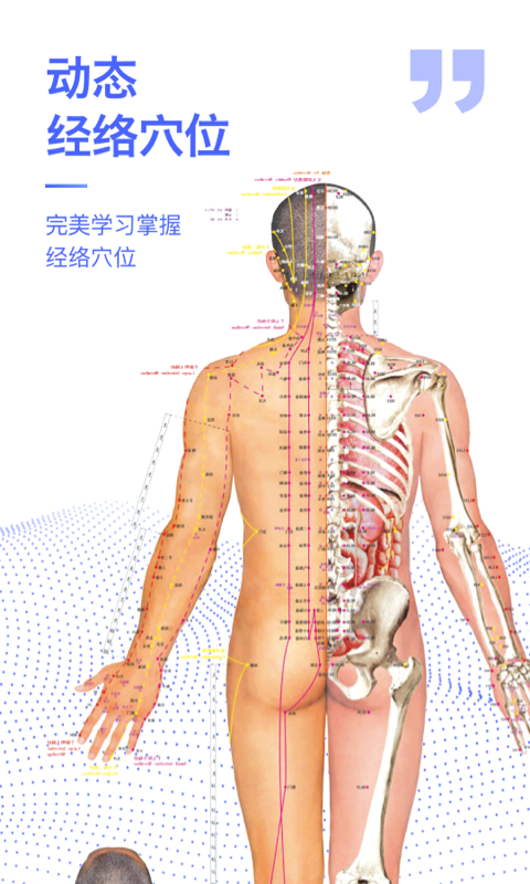 人体3d解剖图谱3d模型[图4]