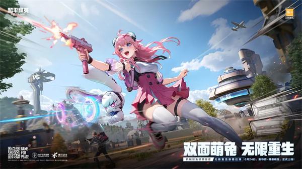 pupg正式服[图3]