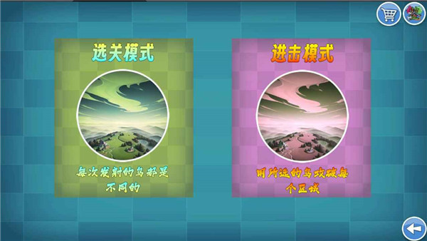 我的鸟[图4]