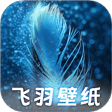 飞羽壁纸