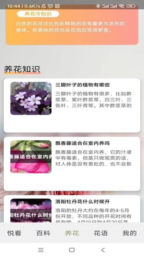 四季养花[图4]