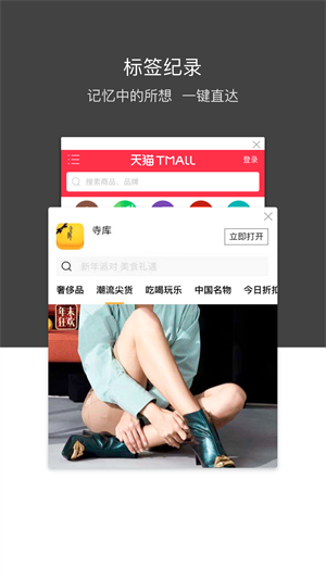 绿叶浏览器[图3]