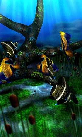 水族馆动态壁纸[图1]