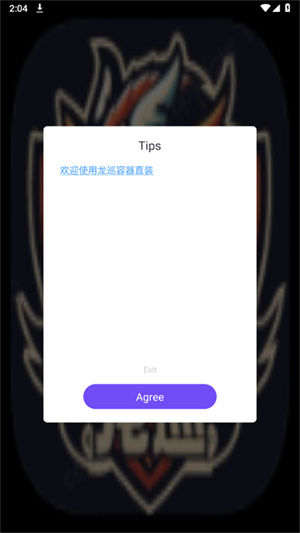 龙巡容器[图1]