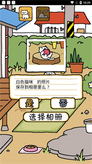 猫咪后院[图3]
