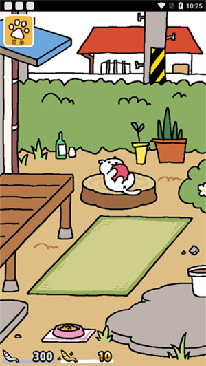 猫咪后院[图4]