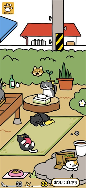 猫咪后院2[图4]