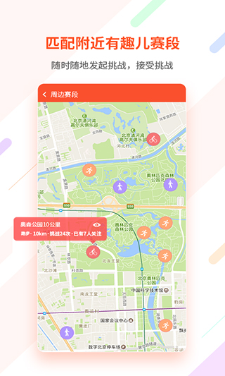 郁金香运动[图2]