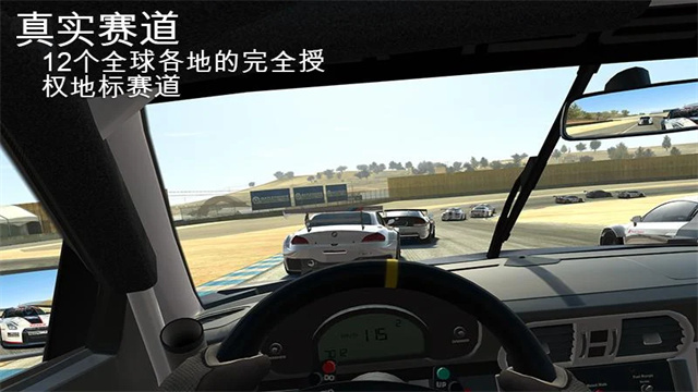 真实赛车3国际版[图3]