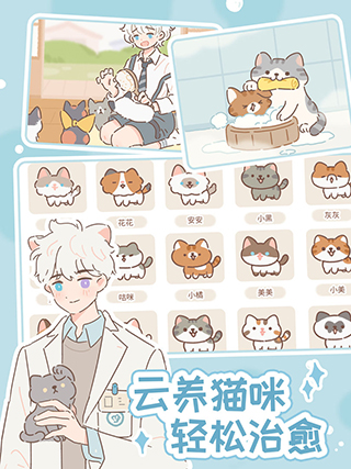 遇见你的猫[图3]
