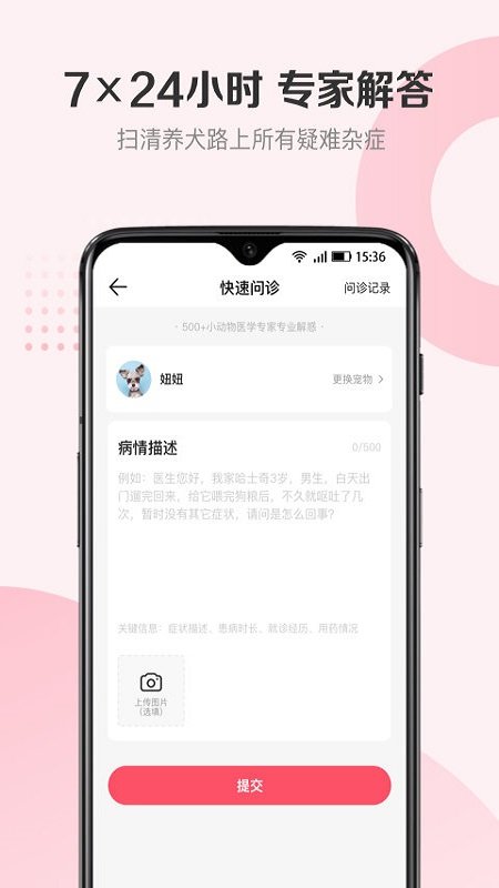 68宠物app犬证办理[图1]