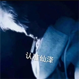 仙泽弱网12.0