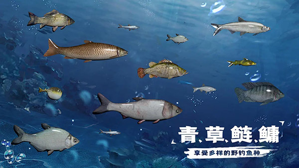 天天钓鱼[图4]
