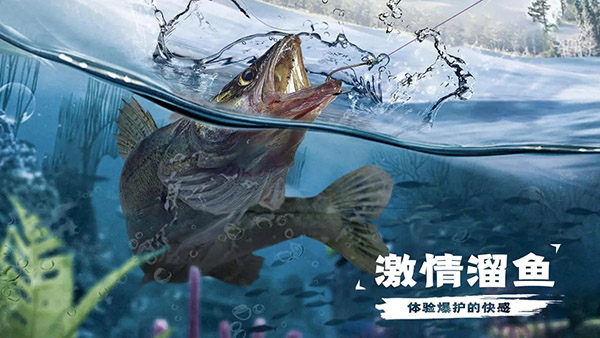 天天钓鱼[图5]
