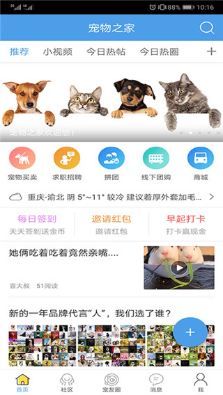 宠物之家[图1]