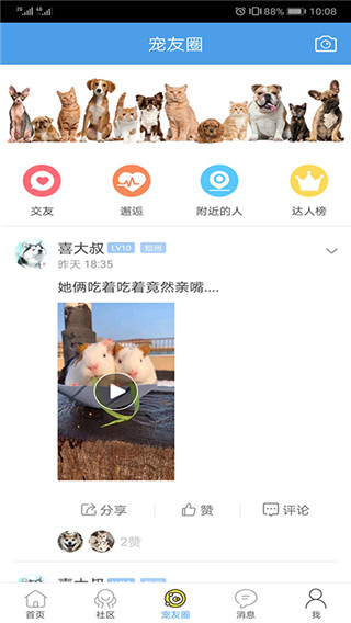 宠物之家[图4]