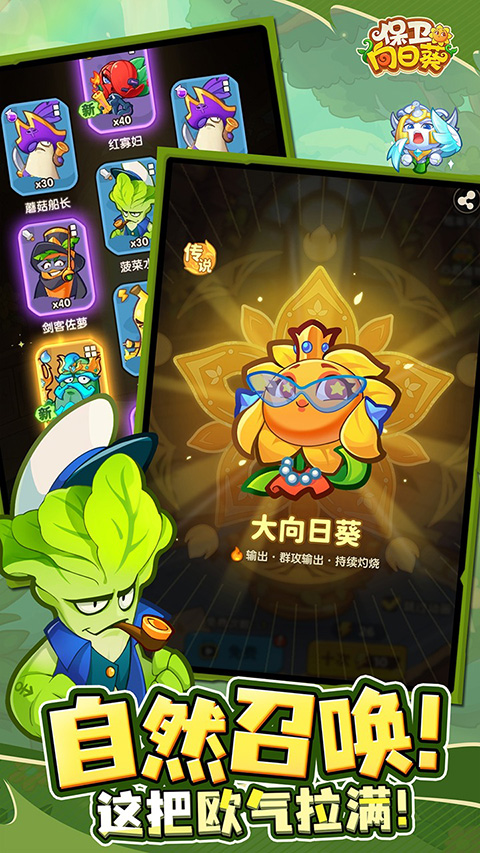 保卫向日葵[图2]