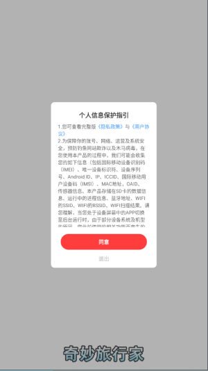 奇妙旅行家[图2]