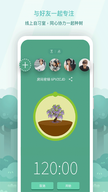 forest[图1]