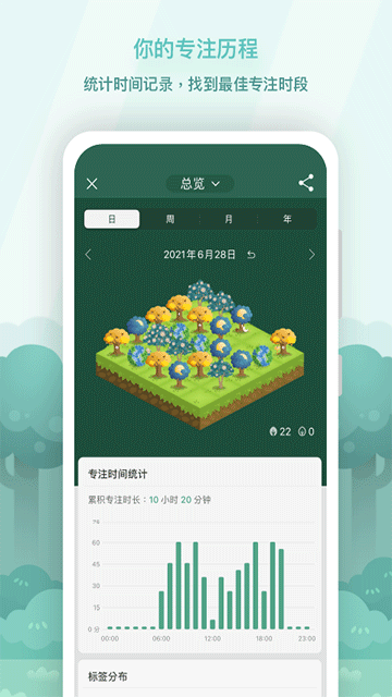 forest[图3]