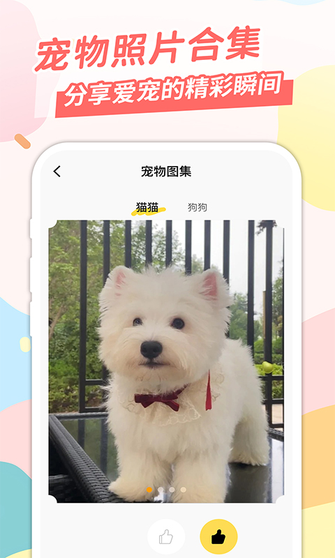 桌面宠[图3]