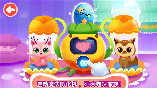 奇妙猫咪世界[图2]
