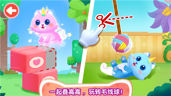 奇妙猫咪世界[图4]