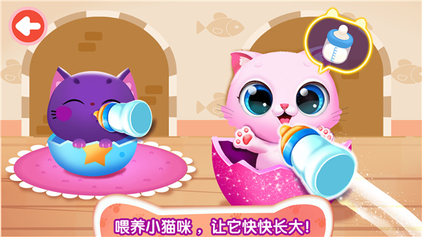 奇妙猫咪世界[图3]