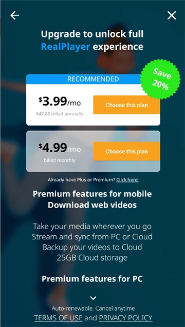 realplayer[图4]