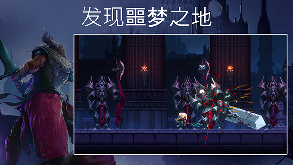 埃德兰[图3]