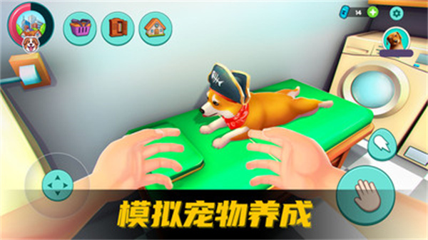 超级宠物之友[图3]
