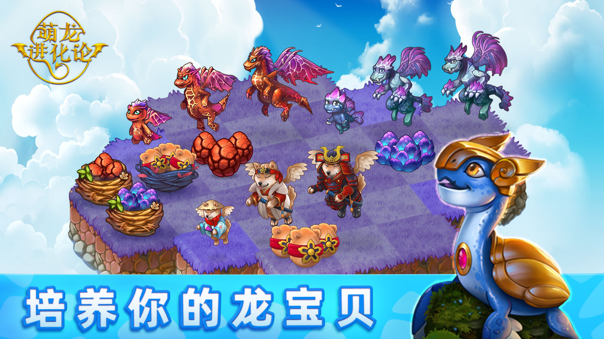 萌龙进化论[图3]