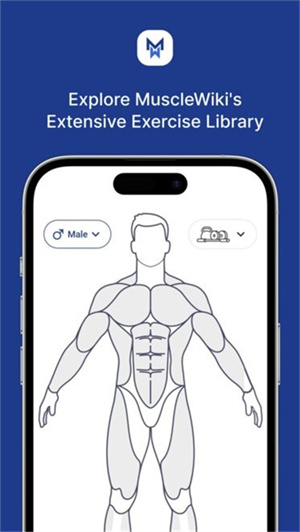 Musclewiki中文版[图3]