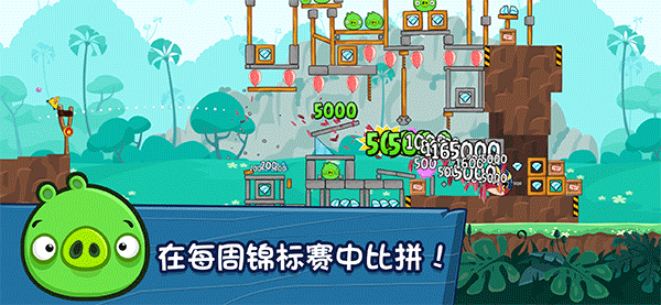 愤怒的小鸟1[图2]