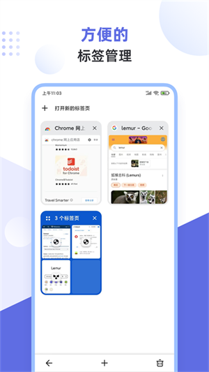 狐猴浏览器[图4]