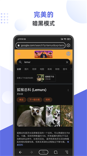 狐猴浏览器[图3]
