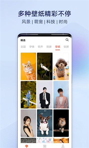 vivo主题商店软件[图3]