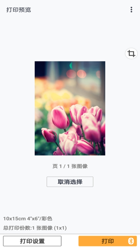 Canon PRINT[图2]