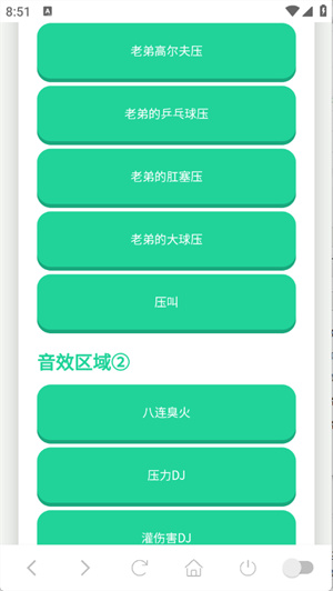 鸽子神语音盒子[图2]