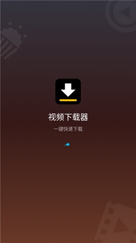 Video Downloader[图2]